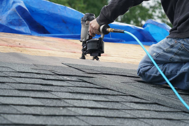 Best Roof Insulation Installation  in Middlebranch, OH