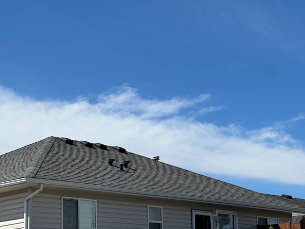 Best Roof Moss and Algae Removal  in Middlebranch, OH